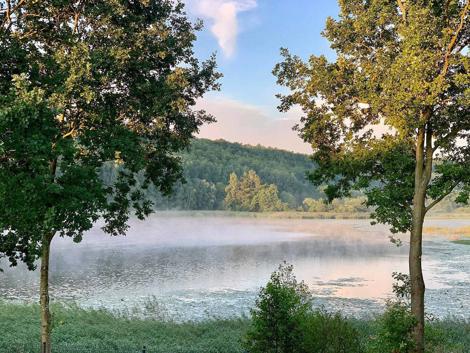 jezioro Orzechowo, Rębiska